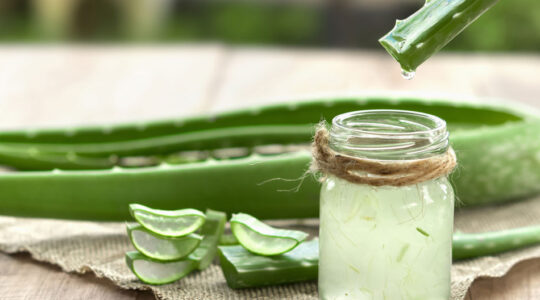 gel d’aloe vera